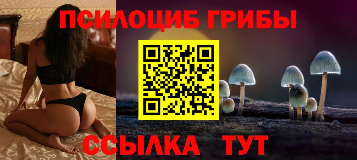 Псилоцибиновые грибы GOLDEN TEACHER Всеволожск